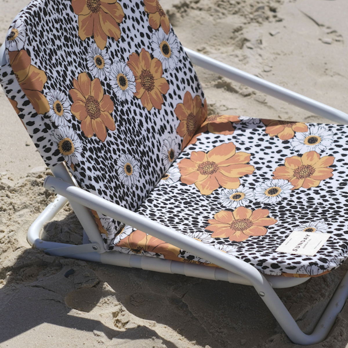 Animal Kingdom Beach Chair
