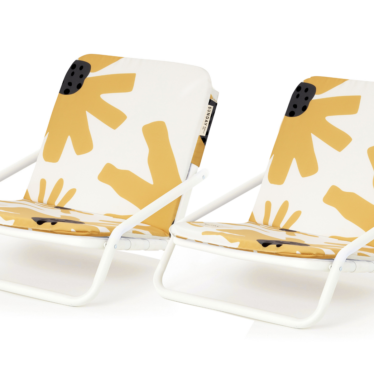 Summer Field Beach Chair Set