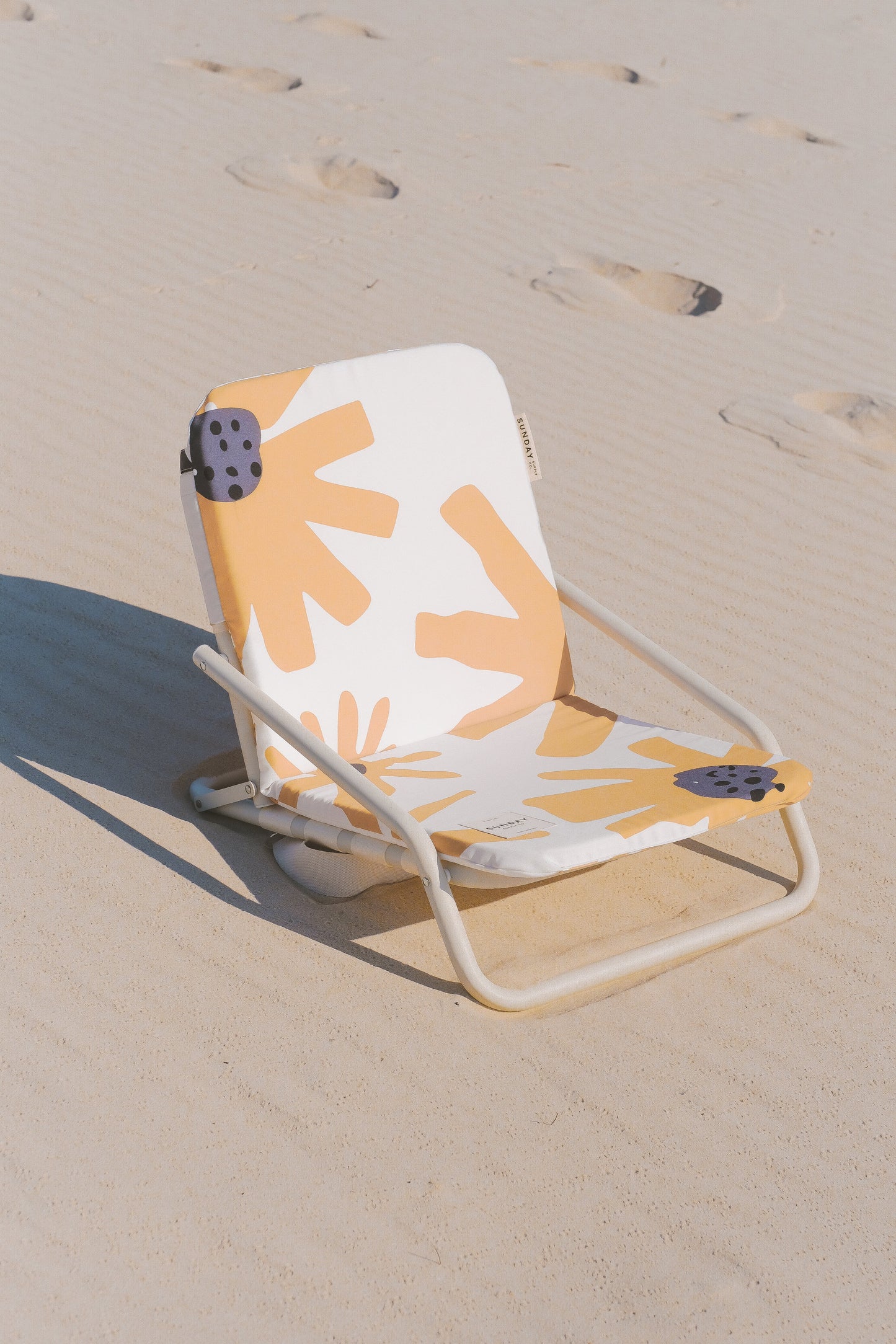 Summer Field Beach Chair